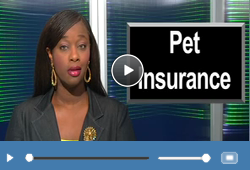 Click here to play an informative Life Insurance Video