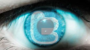 Tweet at your own risk: Would you buy Twitter insurance?
