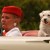 Accidents double for seniors who take their pets in the car